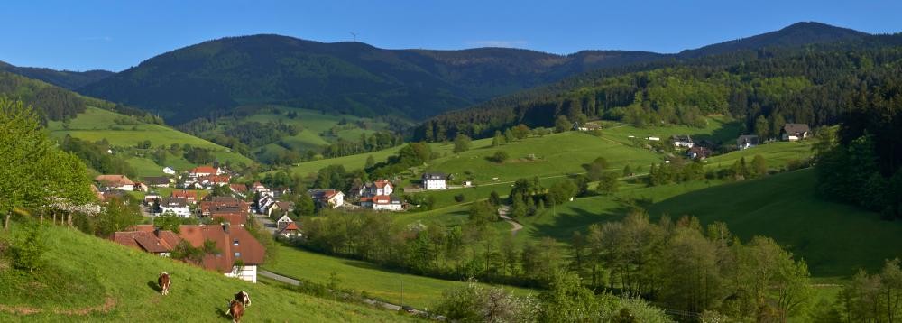 Blick auf den Stadtteil Yach von Vorderyach aus