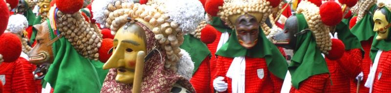 Fotoaufnahme beim Elzacher Umzug Fotoaufnahme beim Elzacher Umzug