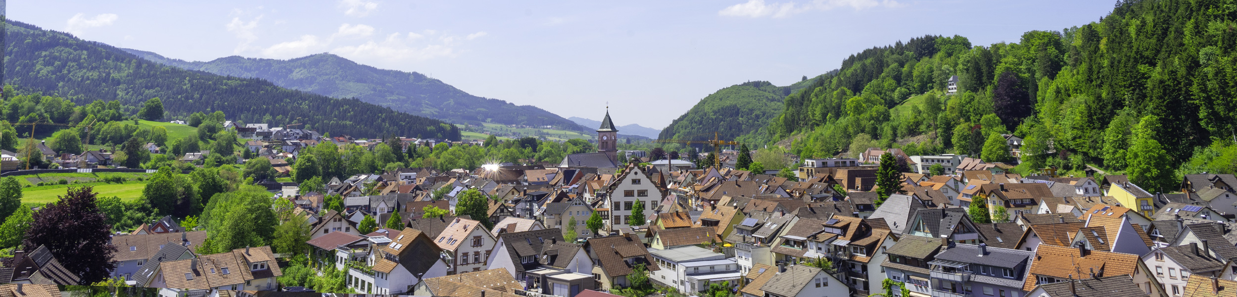 Blick auf Elzach von oben